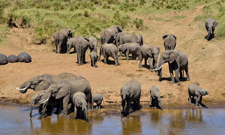 4 Days Lake Manyara Ngorongoro Tarangire