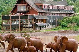3 Days Aberdare National Park Safari